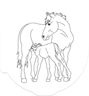 Glücks-Malbuch (Pferdefreunde) - Abbildung 2
