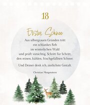 Zauber der Winterwelt, Tischadventskalender / Bastin