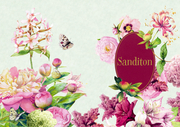 Sanditon - Abbildung 2