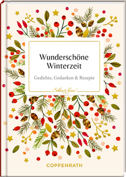 Wunderschöne Winterzeit - Cover