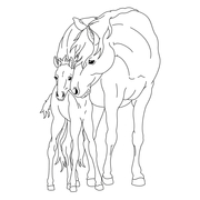 Mein superdicker Pferdefreunde-Malblock - Abbildung 4