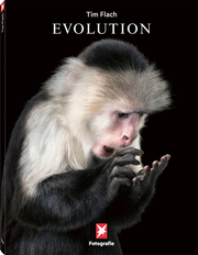 Evolution - Cover