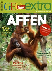 Affen - Cover