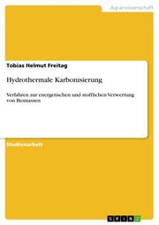 Hydrothermale Karbonisierung - Cover