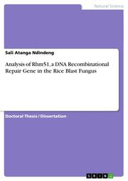 Analysis of Rhm51, a DNA Recombinational Repair Gene in the Rice Blast Fungus
