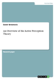 An Overview of the Active Perception Theory