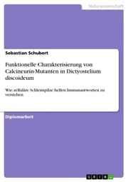 Funktionelle Charakterisierung von Calcineurin-Mutanten in Dictyostelium discoideum
