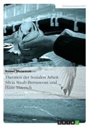 Theorien der Sozialen Arbeit: Silvia Staub-Bernasconi und Hans Thiersch