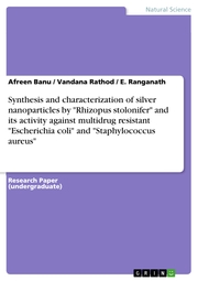 Synthesis and characterization of silver nanoparticles by 'Rhizopus stolonifer' and its activity against multidrug resistant 'Escherichia coli' and 'Staphylococcus aureus'