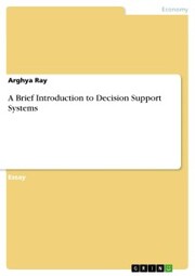 A Brief Introduction to Decision Support Systems - Cover