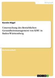 Untersuchung des Betrieblichen Gesundheitsmanagement von KMU in Baden-Württemberg