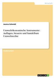 Umweltökonomische Instrumente: Auflagen, Steuern und handelbare Umweltrechte