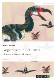 Vogelriesen in der Urzeit - Cover
