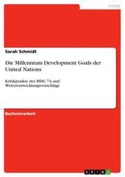 Die Millennium Development Goals der United Nations