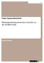 Bindungswirkung deutscher Gerichte an die EGMR-Urteile