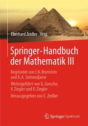 Springer-Handbuch der Mathematik III - Cover