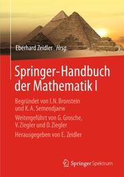 Springer-Handbuch der Mathematik I - Cover