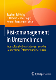 Risikomanagement in Unternehmen - Cover