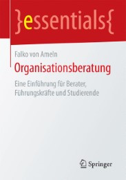 Organisationsberatung - Abbildung 1