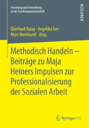 Methodisch Handeln - Beiträge zu Maja Heiners Impulsen zur Professionalisierung der Sozialen Arbeit - Abbildung 1