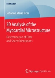 3D Analysis of the Myocardial Microstructure