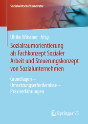 Sozialraumorientierung als Fachkonzept Sozialer Arbeit und Steuerungskonzept von Sozialunternehmen - Cover