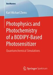 Photophysics and Photochemistry of a BODIPYBased Photosensitizer