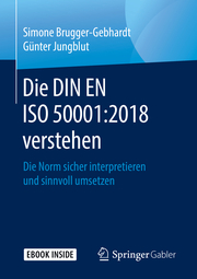 Die DIN EN ISO 50001:2018 verstehen