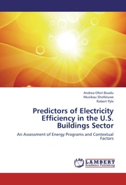 Predictors of Electricity Efficiency in the U.S.Buildings Sector