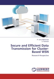 Secure and Efficient Data Transmission for Cluster-Based WSN