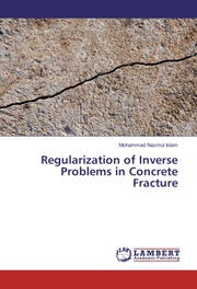 Regularization of Inverse Problems in Concrete Fracture