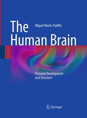 The Human Brain - Cover
