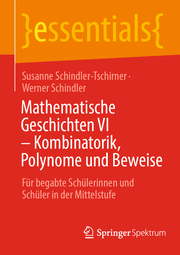 Mathematische Geschichten VI - Kombinatorik, Polynome und Beweise - Cover