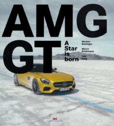 Mercedes-AMG GT - Cover