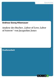 Analyse des Buches Labor of Love, Labor of Sorrow von Jacqueline Jones