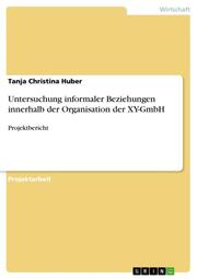 Untersuchung informaler Beziehungen innerhalb der Organisation der XY-GmbH