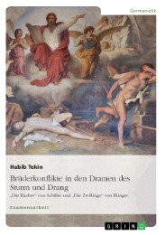 Brüderkonflikte in den Dramen des Sturm und Drang. 'Die Räuber' von Schiller und 'Die Zwillinge' von Klinger