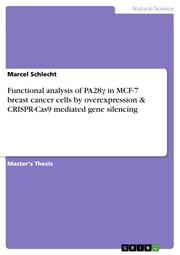 Functional analysis of PA28¿ in MCF-7 breast cancer cells by overexpression & CRISPR-Cas9 mediated gene silencing