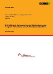 Drill Cuttings in the Barents Sea and their Environmental Footprint. A Visual Assessment of the Seabed Condition
