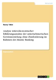 Analyse mikroökonomischer Erklärungsansätze der unternehmerischen Gewinnerzielung ohne Zinsforderung im Rahmen des Islamic Banking
