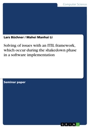 Solving of issues with an ITIL framework, which occur during the shakedown phase in a software implementation