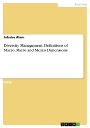 Diversity Management. Definitions of Macro, Micro and Mezzo Dimensions