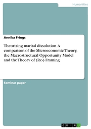 Theorizing marital dissolution. A comparison of the Microeconomic Theory, the Macrostructural Opportunity Model and the Theory of (Re-) Framing - Cover