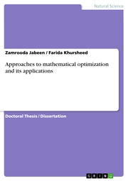 Approaches to mathematical optimization and its applications
