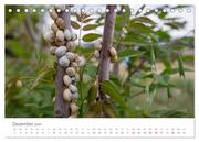Kreta - Naturlandschaften (Tischkalender 2024 DIN A5 quer), CALVENDO Monatskalender - Abbildung 14