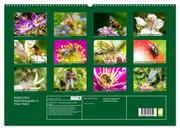 INSEKTEN - Makrofotografie in freier Natur (hochwertiger Premium Wandkalender 2024 DIN A2 quer), Kunstdruck in Hochglanz - Abbildung 1