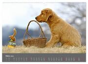 Chesley Kleiner Hund grosse Abenteuer (hochwertiger Premium Wandkalender 2024 DIN A2 quer), Kunstdruck in Hochglanz - Abbildung 4