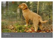 Chesley Kleiner Hund grosse Abenteuer (hochwertiger Premium Wandkalender 2024 DIN A2 quer), Kunstdruck in Hochglanz - Abbildung 11