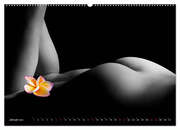 Erotik Art etwas Blumig POMBASTISCH (Wandkalender 2024 DIN A2 quer), CALVENDO Monatskalender - Abbildung 3