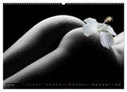 Erotik Art etwas Blumig POMBASTISCH (Wandkalender 2024 DIN A2 quer), CALVENDO Monatskalender - Abbildung 6